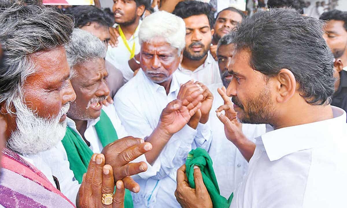 Jagan blames govt for mango farmers' plight