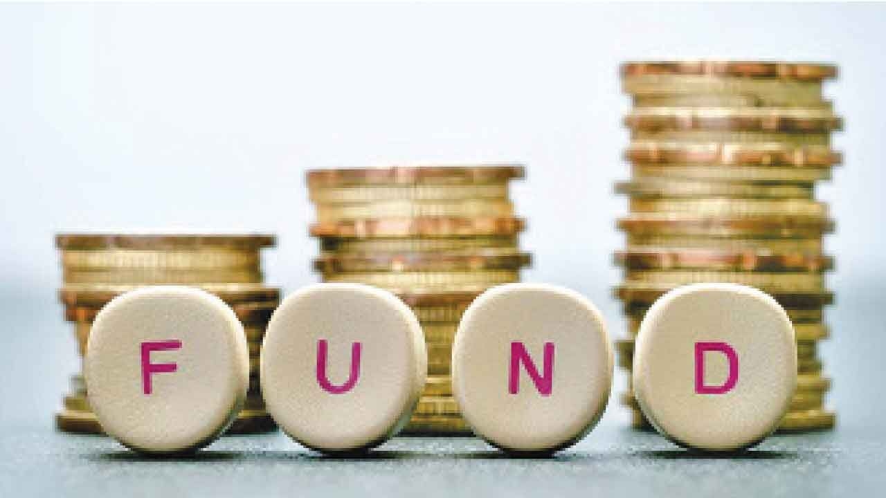 Nominated councillors to get development funds
