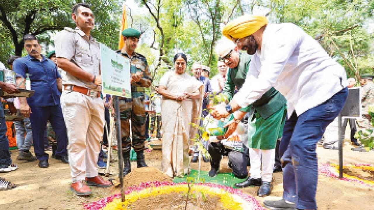 Van Mahotsav 2025: Delhi launches massive tree plantation drive