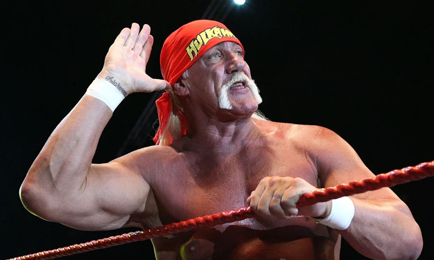 WWE Star Hulk Hogan Dies at 71 from Heart Attack