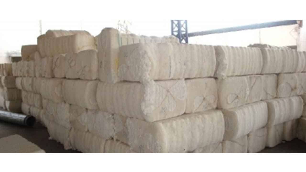 'Misleading': APEDA rejects allegations on organic cotton certification