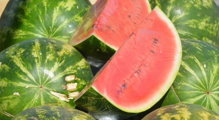 وزارة الزراعة توضح لـ"رؤيا" بشأن ما يُتداول عن البطيخ في الأردن