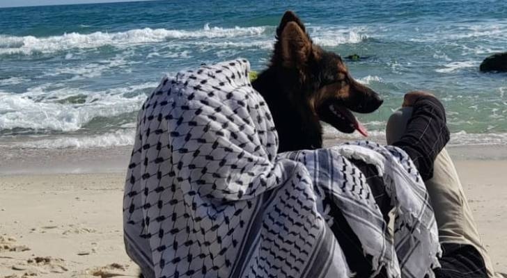 Dog draws international sympathy, Gaza man remains forgotten