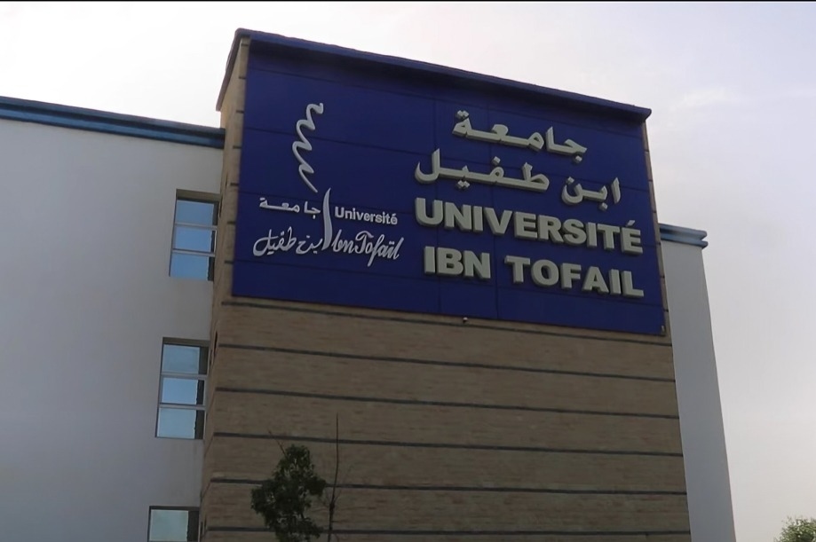 دعوى قضائية ضد جامعة ابن طفيل بسبب تعليق تكوين وعدم صرف مستحقات الأساتذة