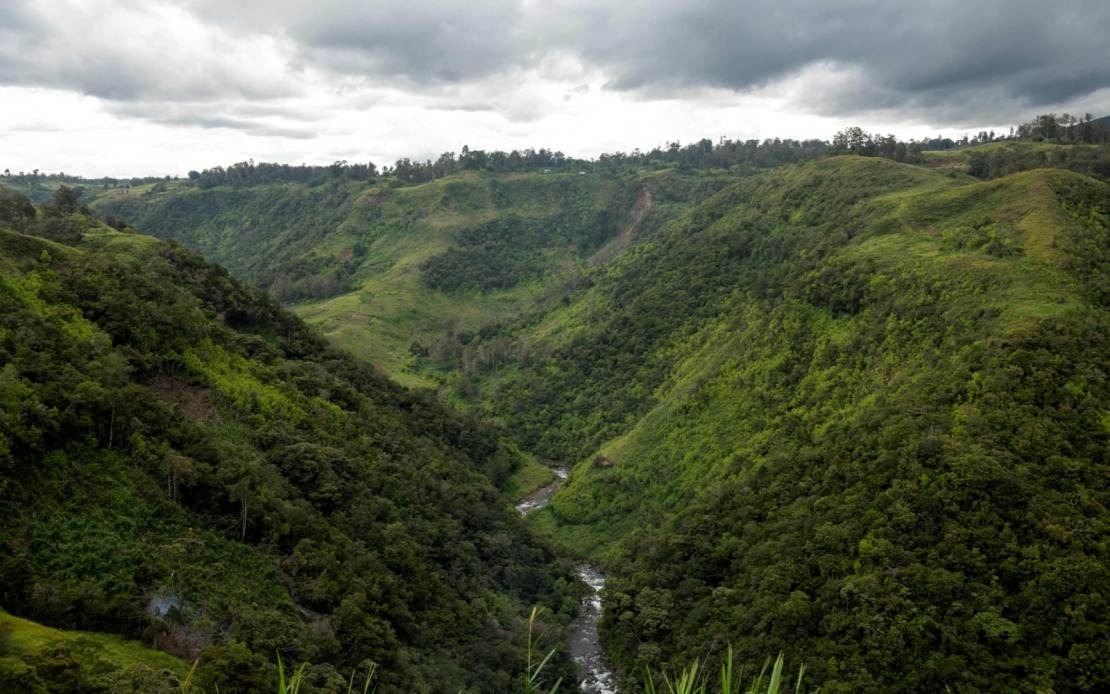 Safeguarding Indo-Malaya Forests: RM177 Million Conservation Initiative Unveiled