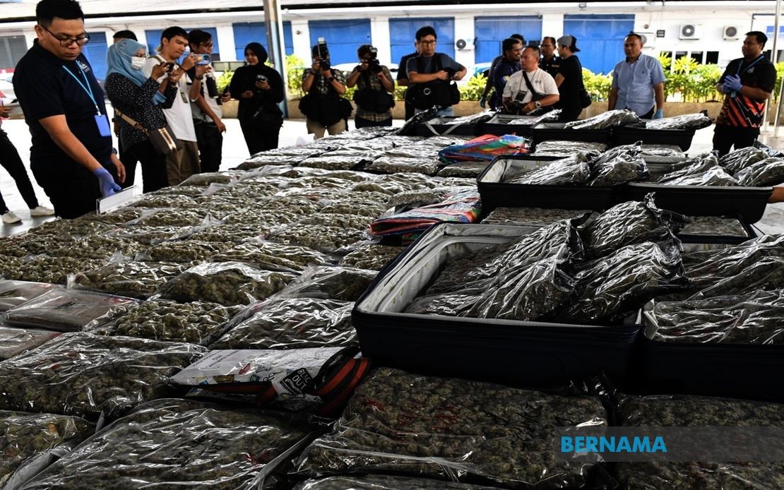 Four Held, Ganja Worth RM3.72 Million Seized In Bukit Mertajam