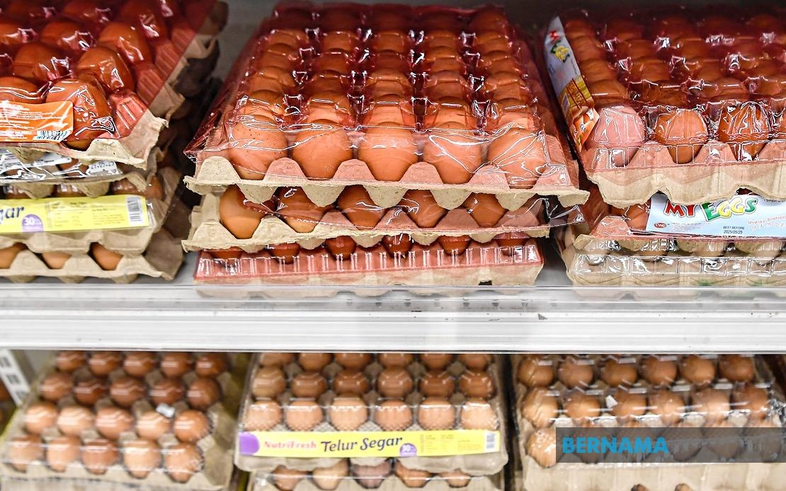 Kelantan KPDN To Increase Monitoring To Prevent Traders From Manipulating Egg Prices