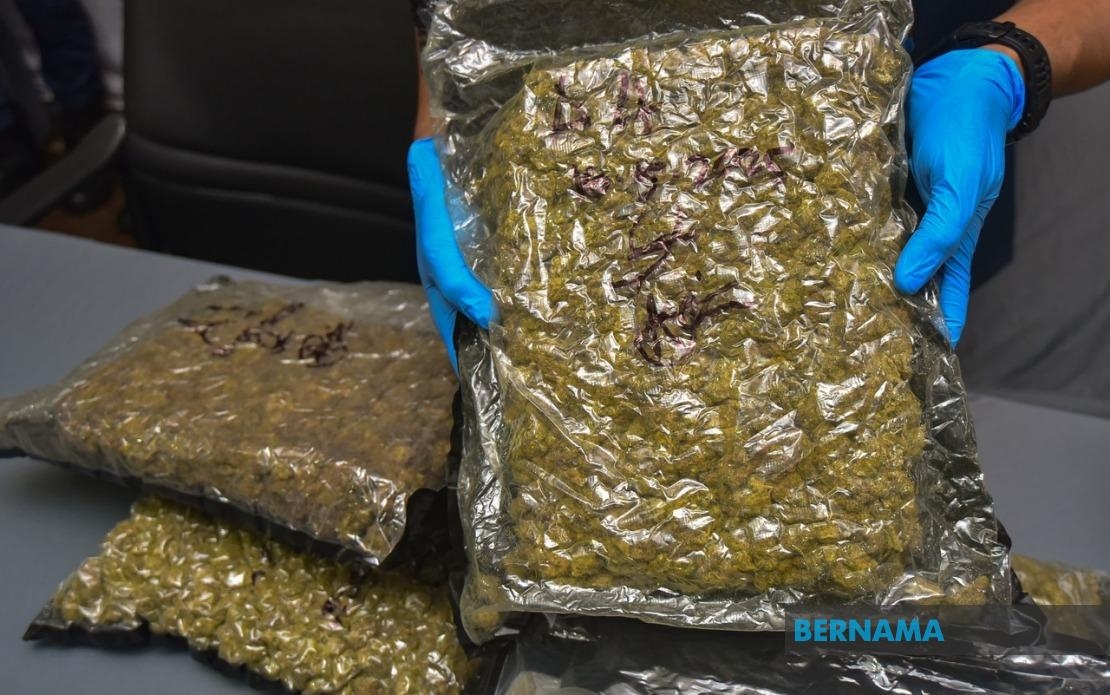Customs Foils Smuggling Of Ganja Buds Worth RM1.43 Mln In Rantau Panjang
