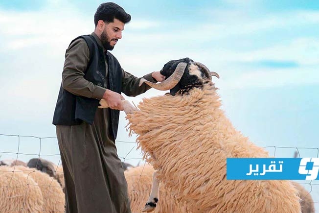 فرحة العيد تتبخر على نار غلاء الأضاحي