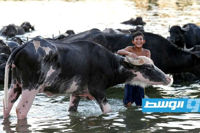 وزارة الصحة العراقية تعلن 30 وفاة بالحمى النزفية منذ بداية العام