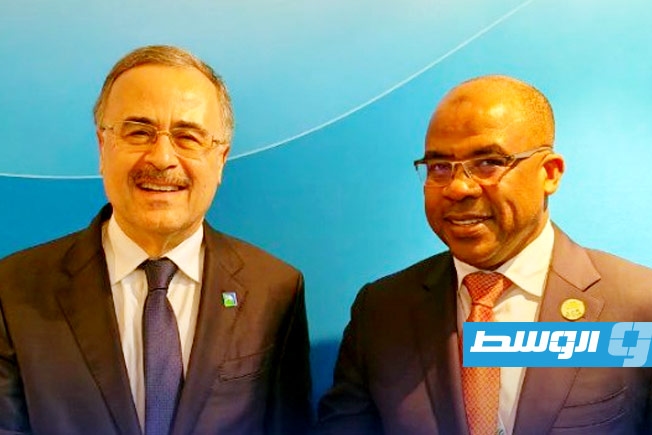 التعاون في «التحول الطاقوي».. على مائدة عبدالصادق والرئيس التنفيذي لـ«أرامكو»