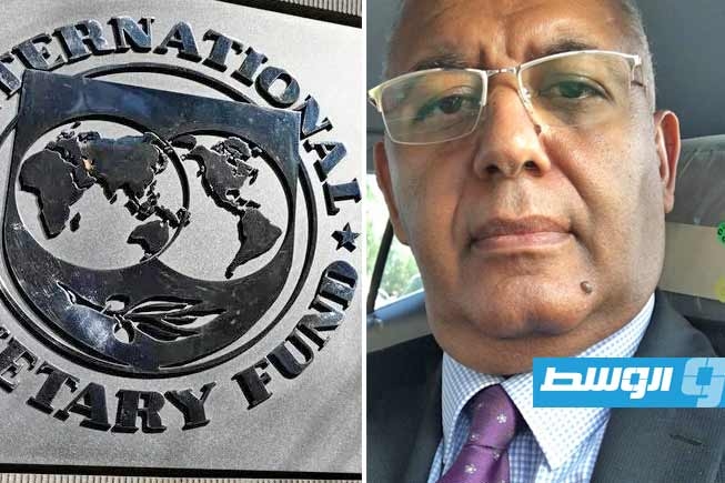 خبير اقتصادي: تقديرات صندوق النقد تُظهر أن سعر الدينار أقل 30% من قيمته الحقيقية