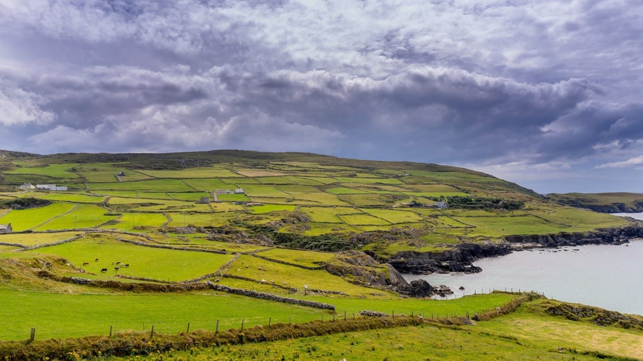 DAFM: ‘Most complex' ACRES cases to be finalised this month