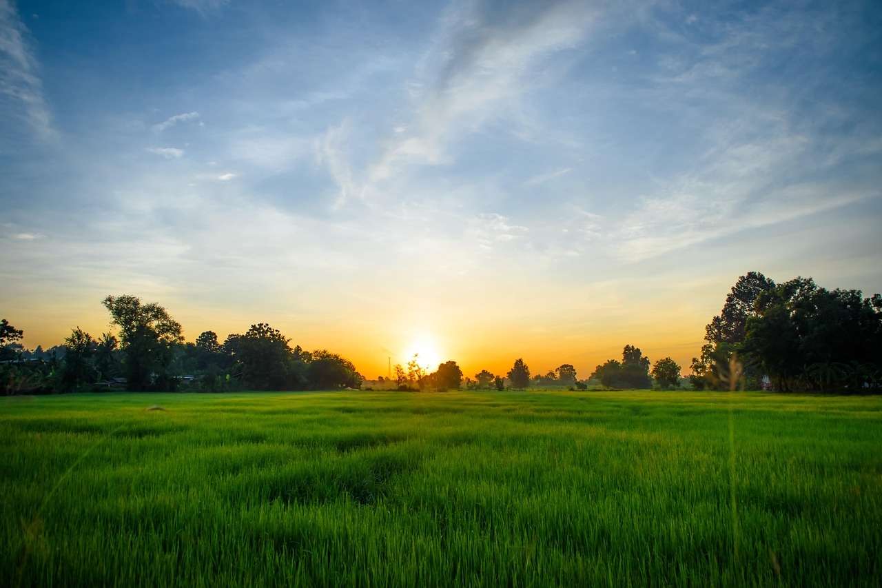 Minister reveals agri schemes under ‘review' before Budget 2026