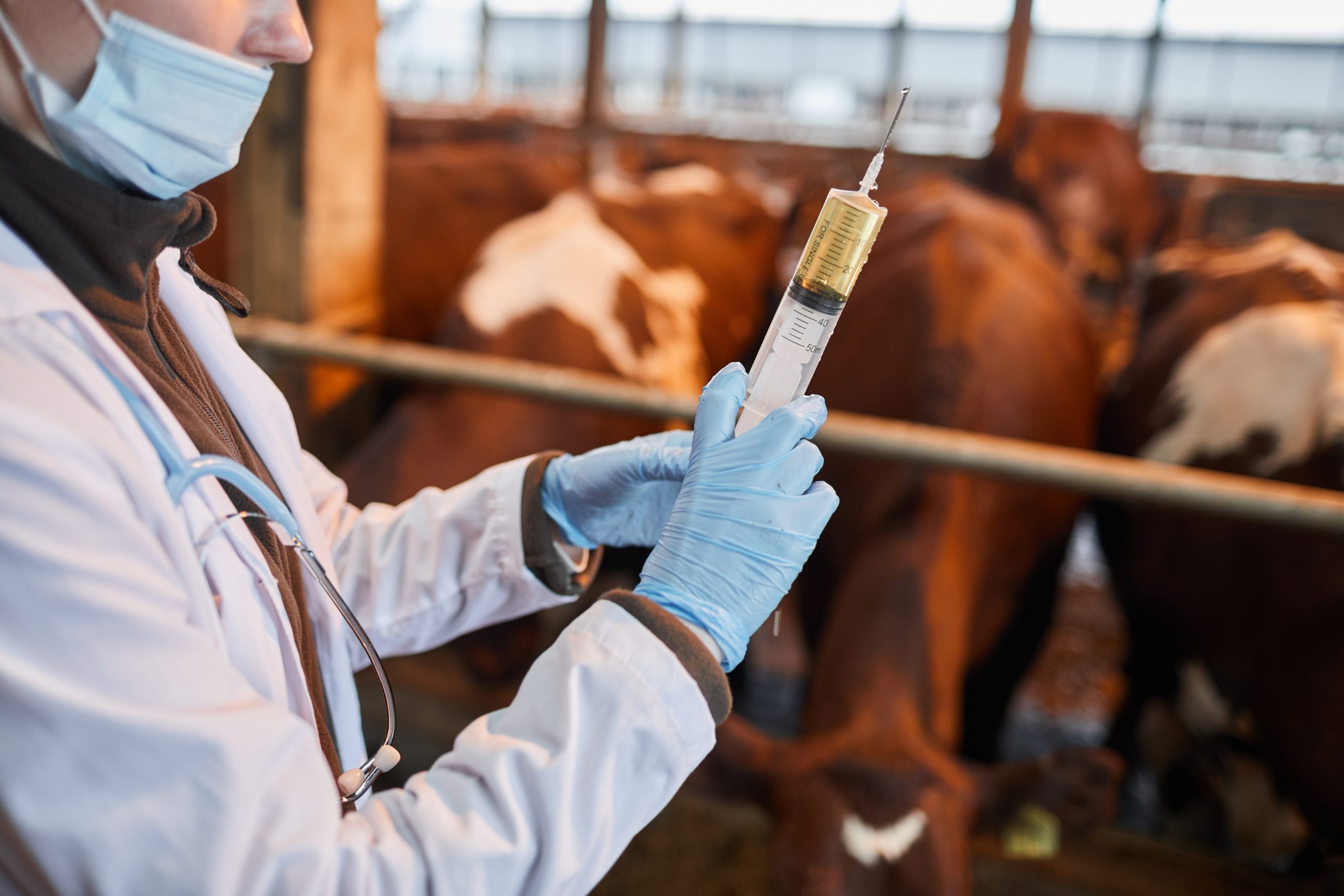 VCI received 29 complaints about a ‘single veterinary practitioner' in 2024