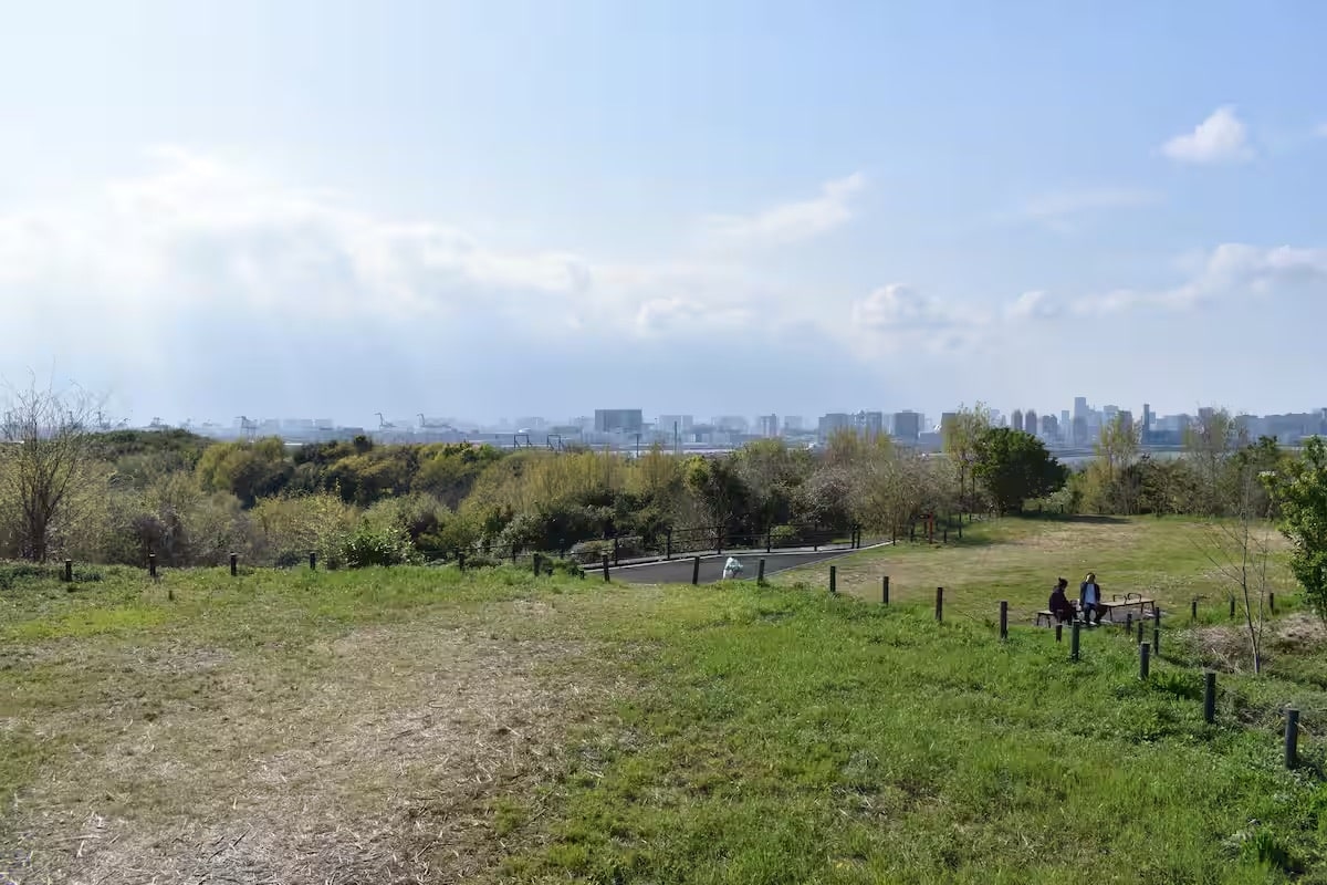 Tokyo Bay's Hidden Hiking Oasis Built on a Landfill