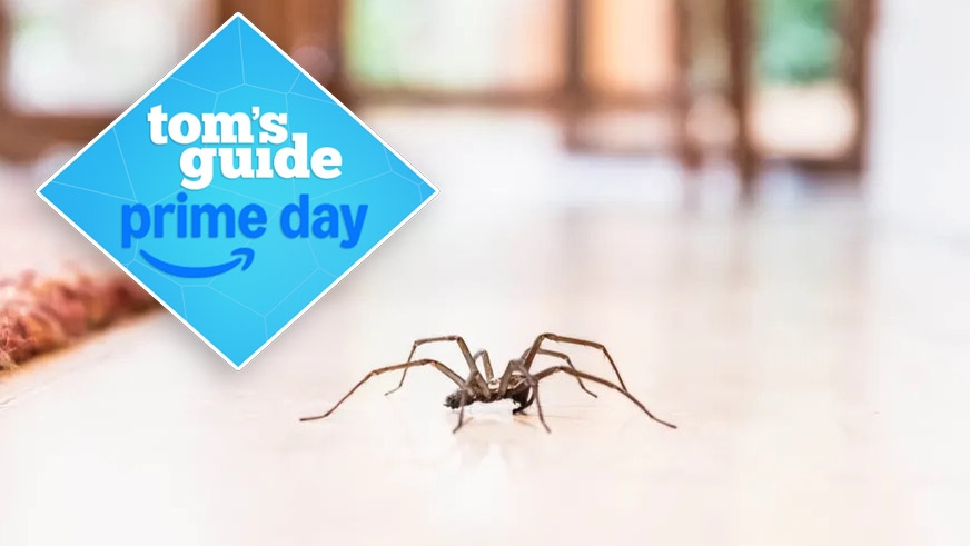 Fed up of spiders in your home? Banish them with these 5 Prime Day pest-repellent deals