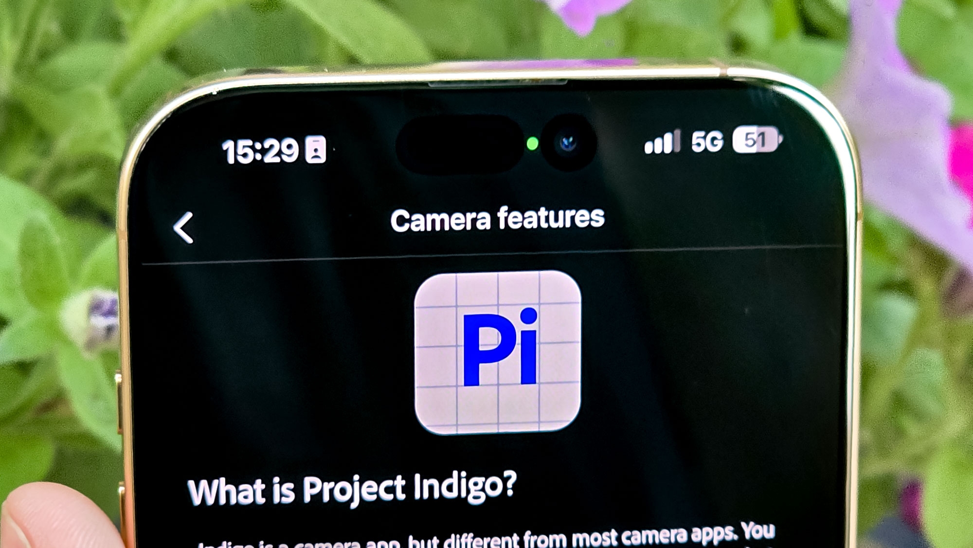 I've been testing Adobe's Project Indigo camera app — and I might ditch the iPhone's camera app for good
