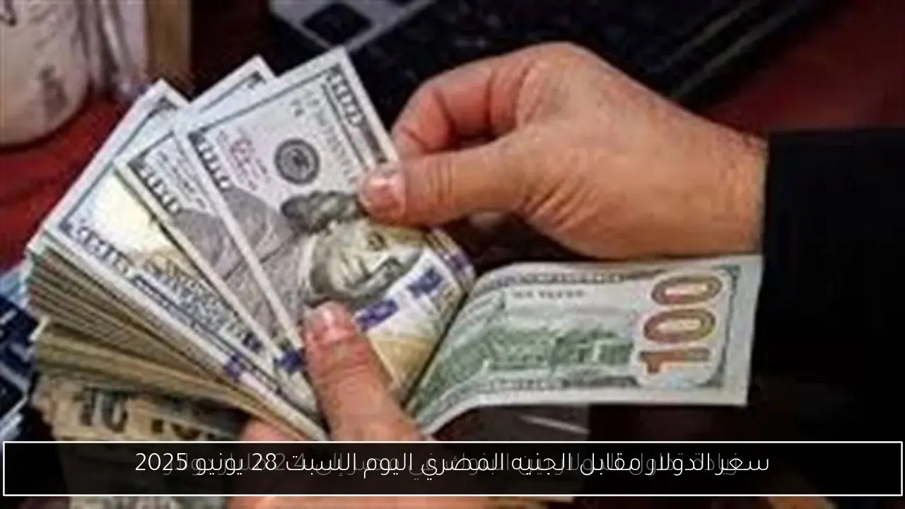 سعر الدولار مقابل الجنيه المصري اليوم السبت 28 يونيو 2025