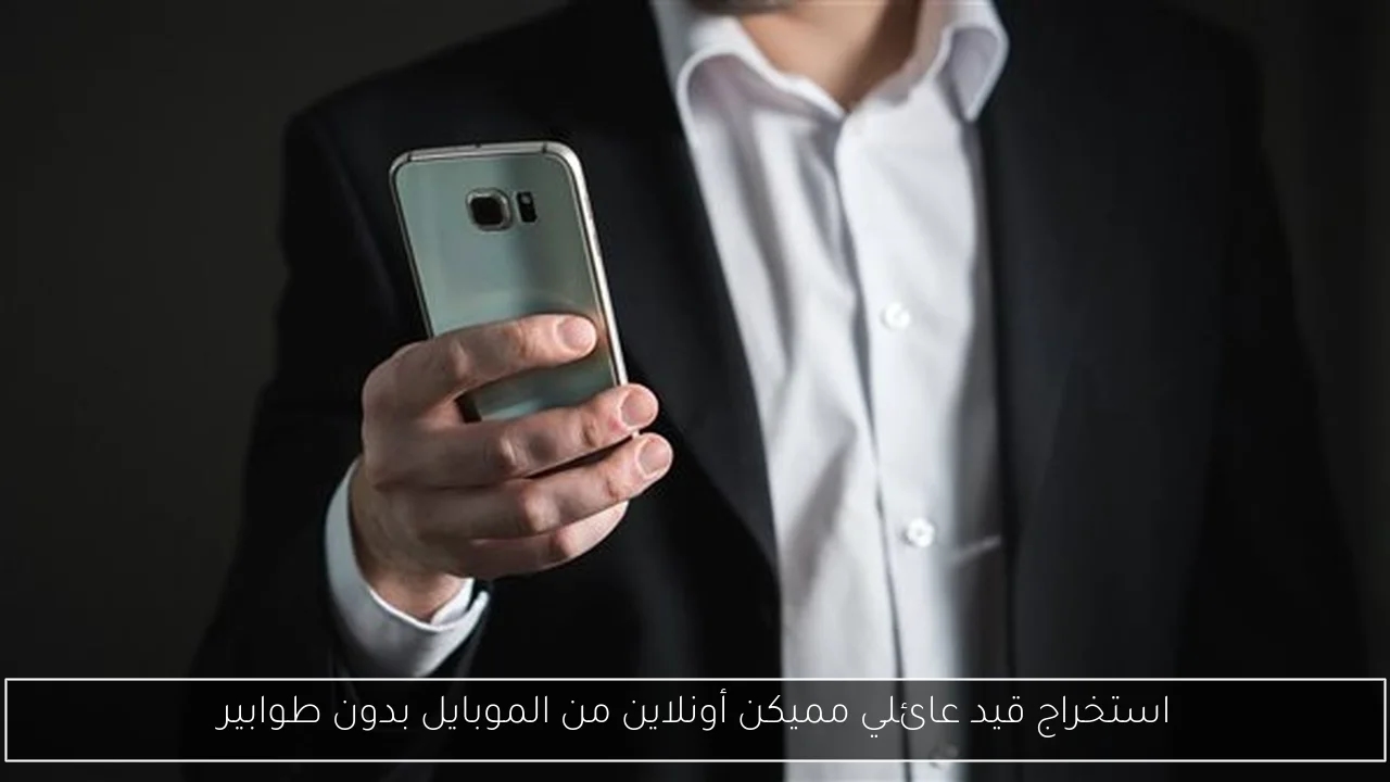 استخراج قيد عائلي مميكن أونلاين من الموبايل بدون طوابير