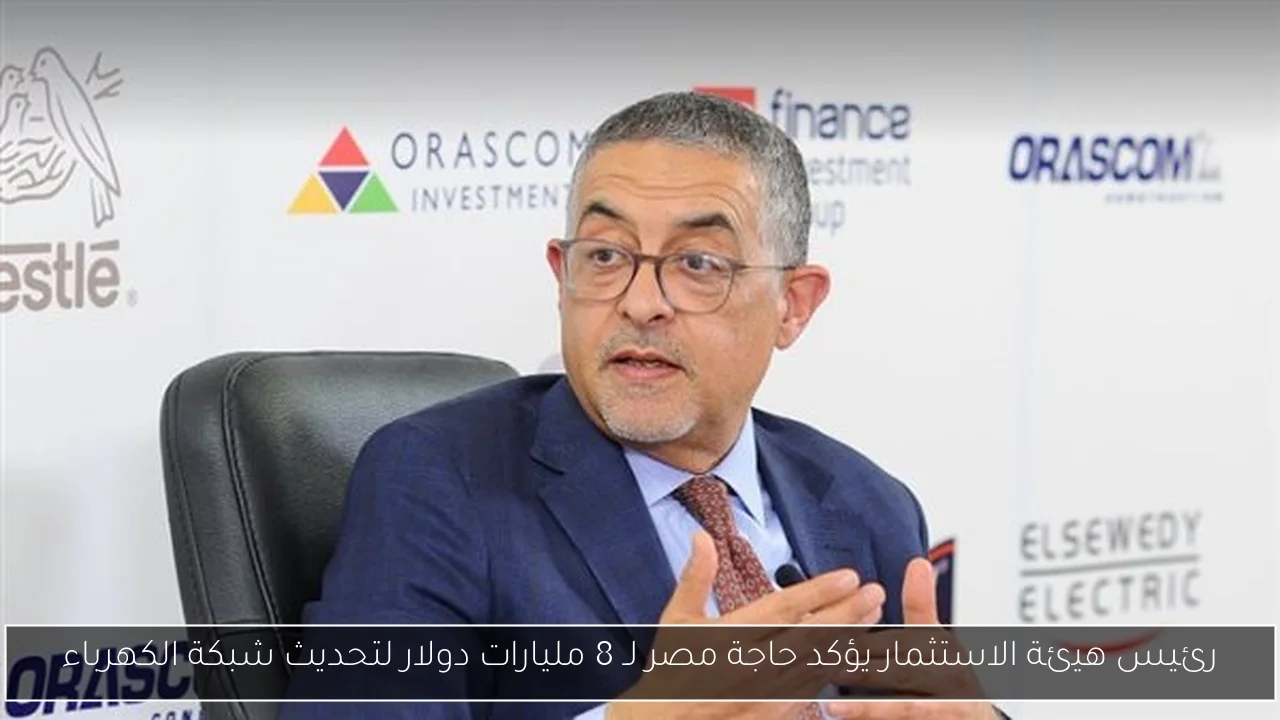 رئيس هيئة الاستثمار يؤكد حاجة مصر لـ 8 مليارات دولار لتحديث شبكة الكهرباء