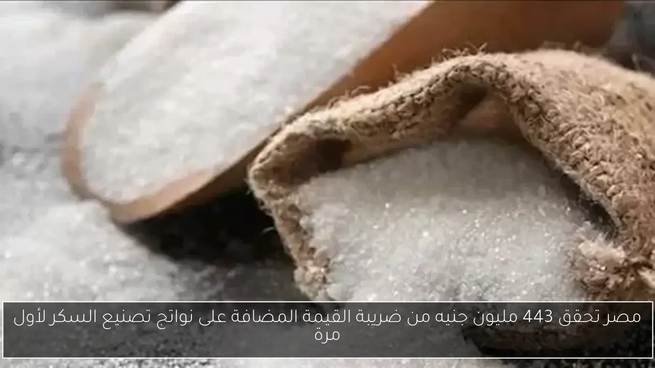 مصر تحقق 443 مليون جنيه من ضريبة القيمة المضافة على نواتج تصنيع السكر لأول مرة
