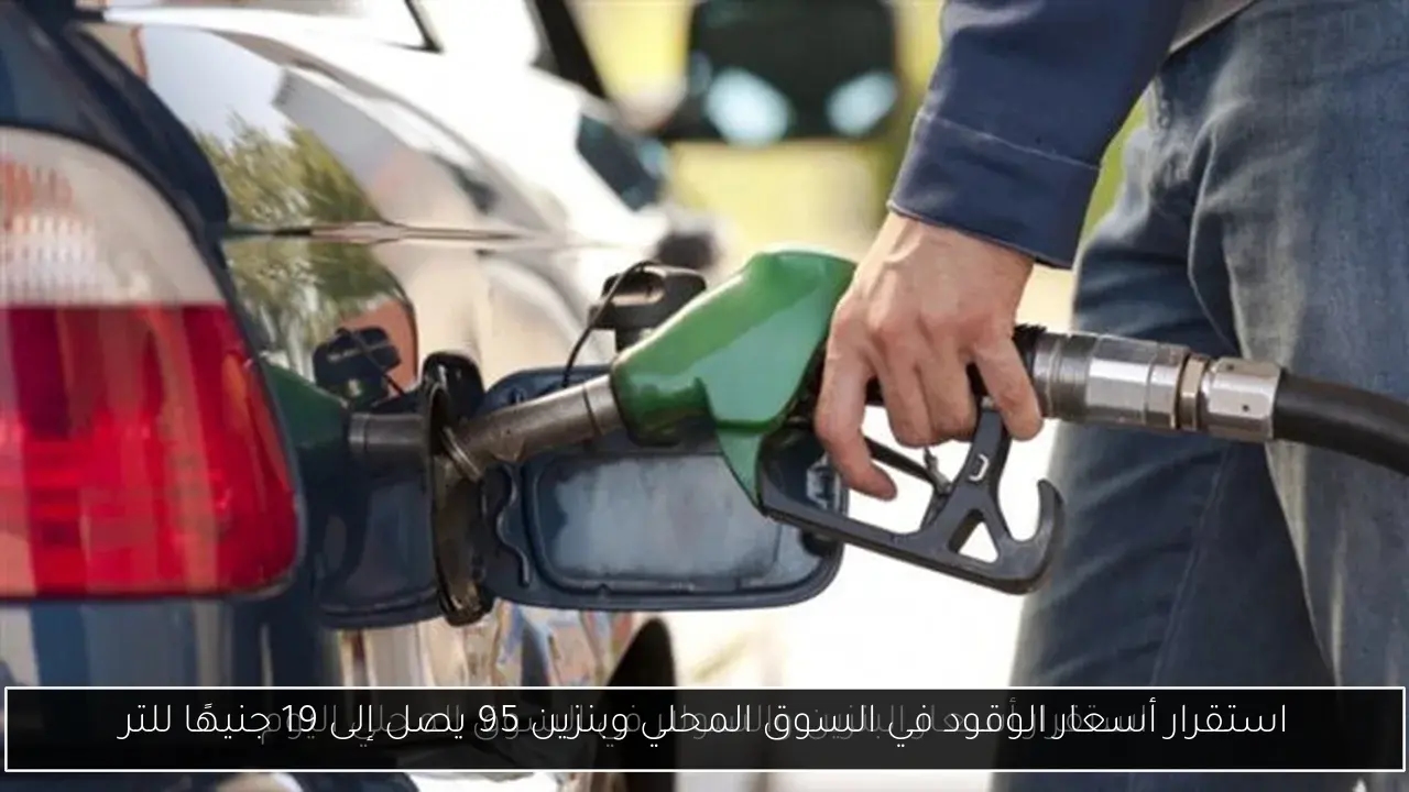 استقرار أسعار الوقود في السوق المحلي وبنزين 95 يصل إلى 19 جنيهًا للتر