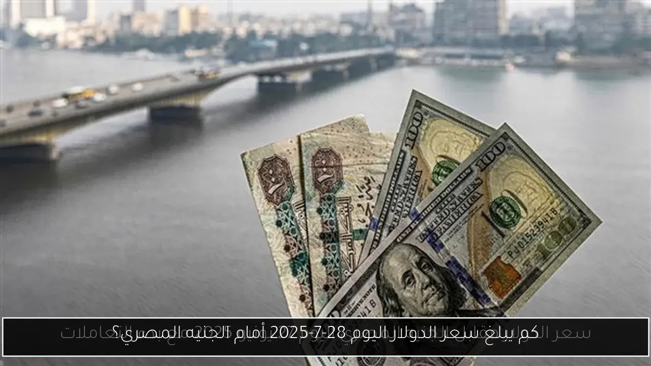 كم يبلغ سعر الدولار اليوم 28-7-2025 أمام الجنيه المصري؟