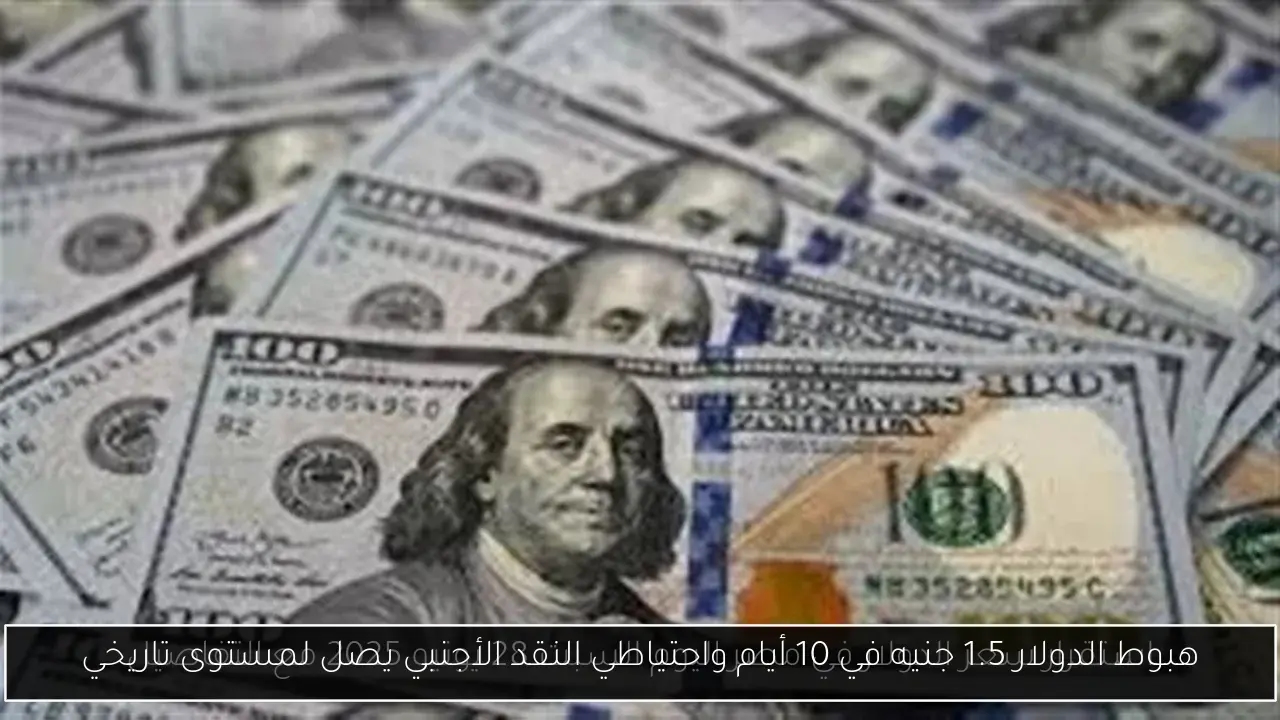 هبوط الدولار 1.5 جنيه في 10 أيام واحتياطي النقد الأجنبي يصل لمستوى تاريخي