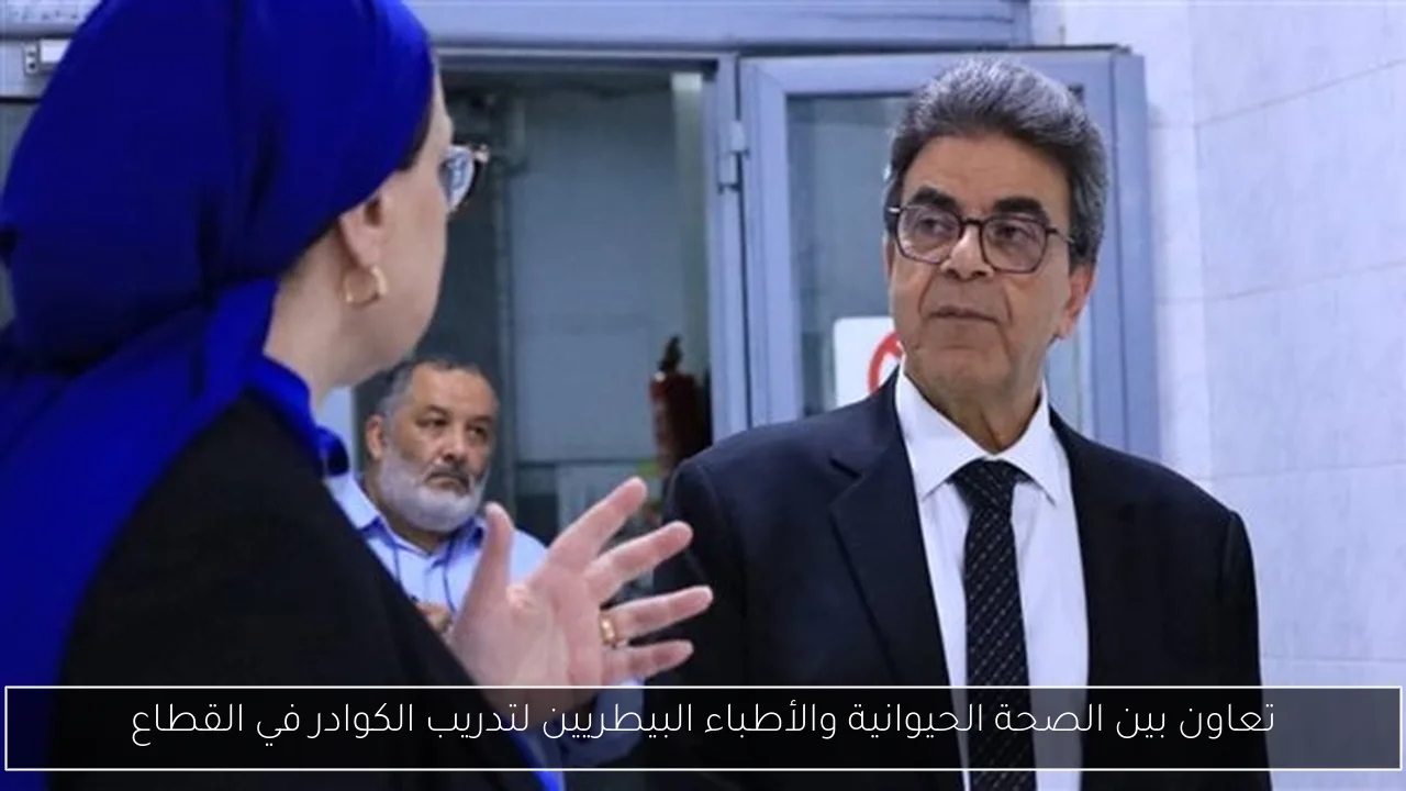 تعاون بين الصحة الحيوانية والأطباء البيطريين لتدريب الكوادر في القطاع