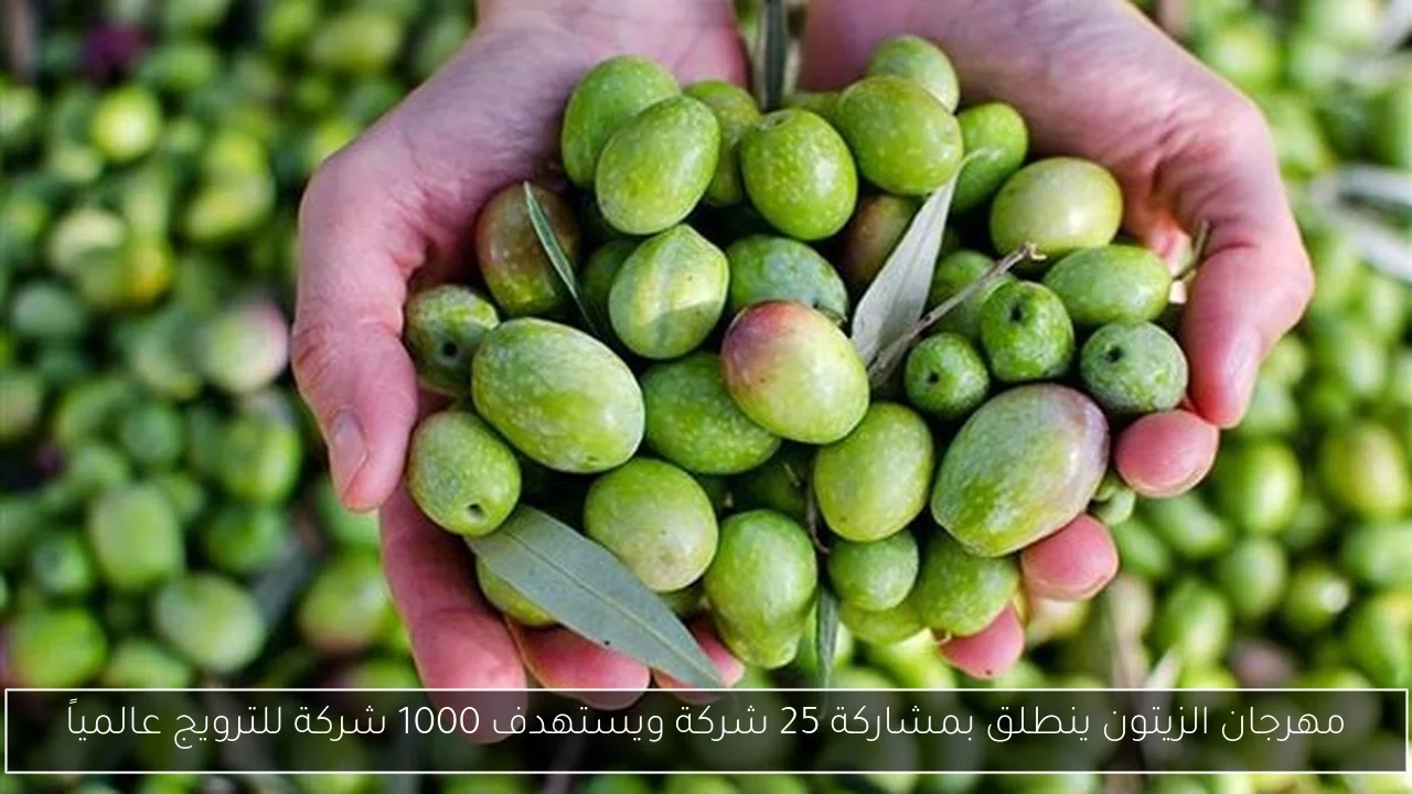 مهرجان الزيتون ينطلق بمشاركة 25 شركة ويستهدف 1000 شركة للترويج عالمياً