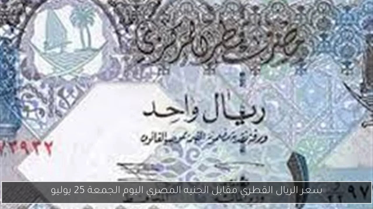 سعر الريال القطري مقابل الجنيه المصري اليوم الجمعة 25 يوليو