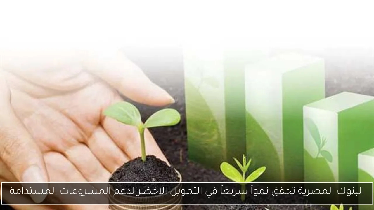 البنوك المصرية تحقق نمواً سريعاً في التمويل الأخضر لدعم المشروعات المستدامة