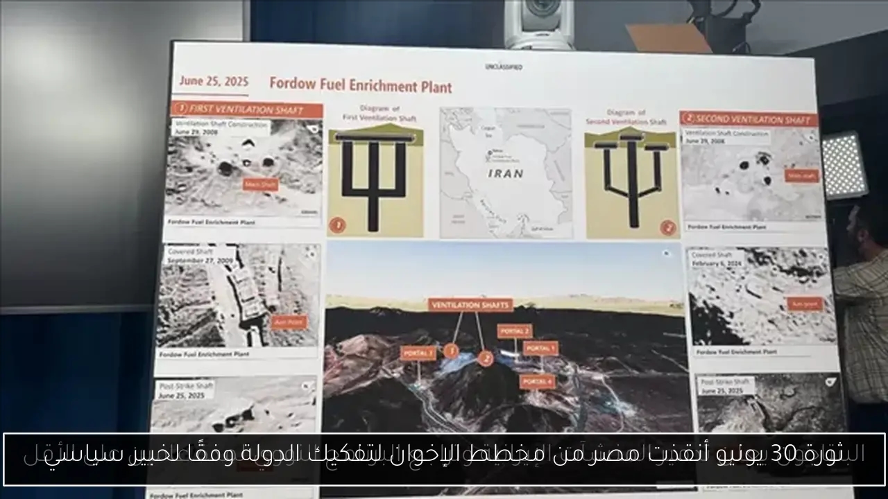 ثورة 30 يونيو أنقذت مصر من مخطط الإخوان لتفكيك الدولة وفقًا لخبير سياسي