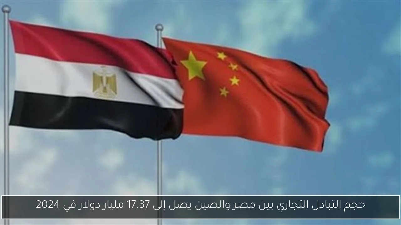 حجم التبادل التجاري بين مصر والصين يصل إلى 17.37 مليار دولار في 2024