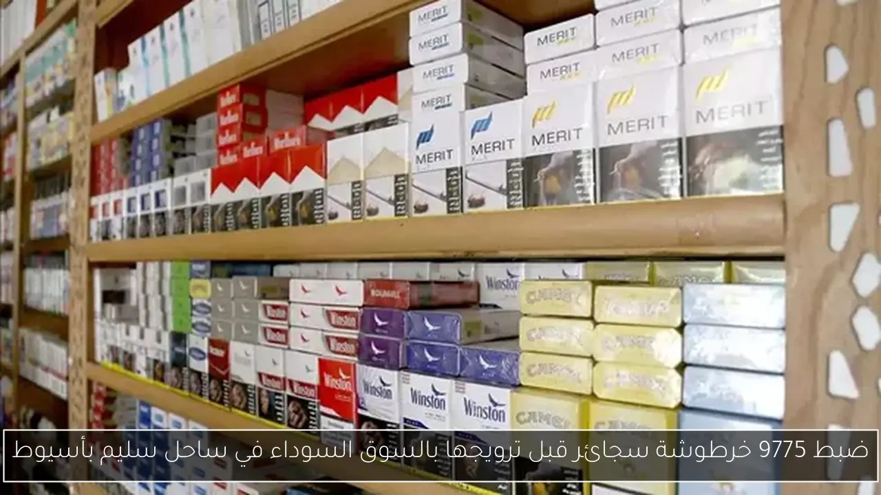 محمود بدر يؤكد أن حسم ليست اختراع الدولة بل حركة إرهابية للإخوان