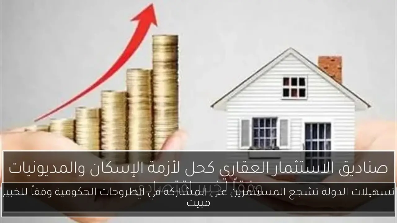 تسهيلات الدولة تشجع المستثمرين على المشاركة في الطروحات الحكومية وفقاً للخبير مبيت
