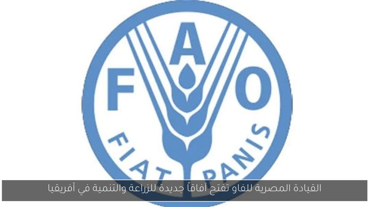 رحمة محسن تعلن عن انتهاء تعاونها مع مدير أعمالها ميمي فؤاد