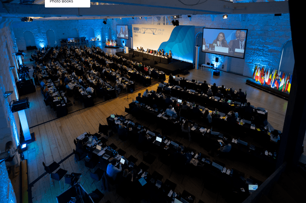 OSCE PA Urges GD to De-escalate, Respect Freedoms, Return to EU Path