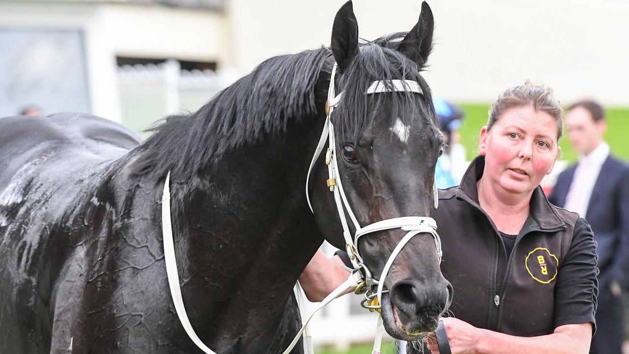 Heartbroken trainers lead tributes for beloved team member after stable tragedy