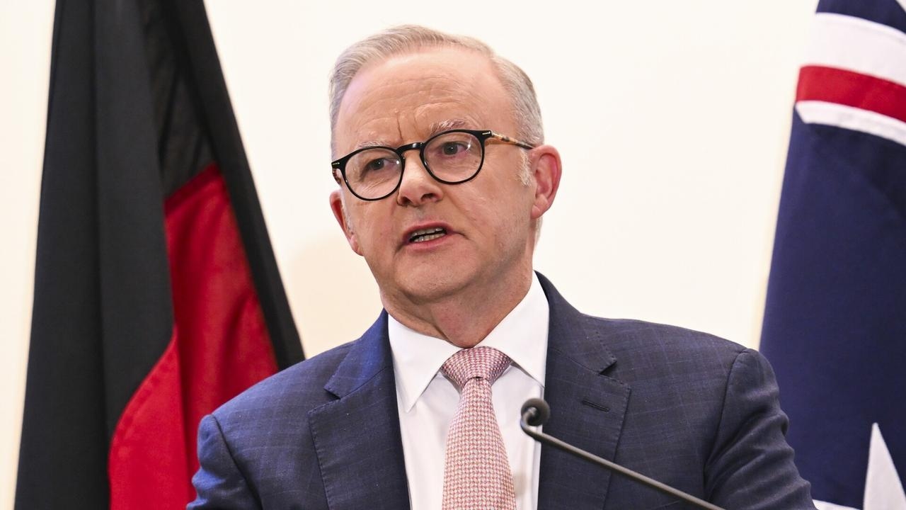 ‘Reckless': Albanese blasted for ‘premature' Palestinian state comments