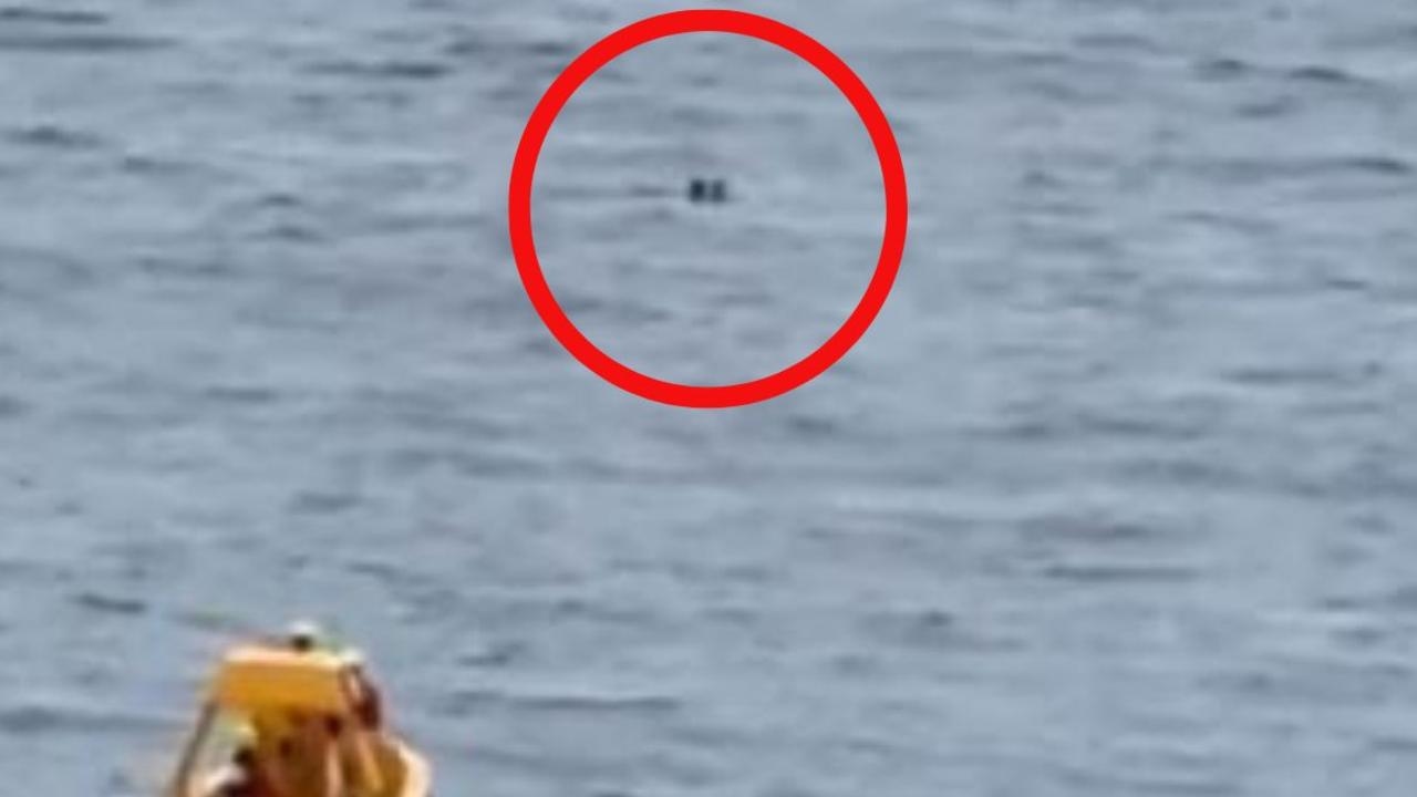 Hero dad dives into sea to save daughter who fell from Disney Dream cruise