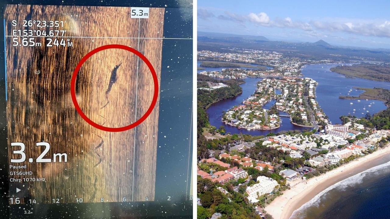 Crocodile shocks locals at popular holiday spot, far south of usual habitat