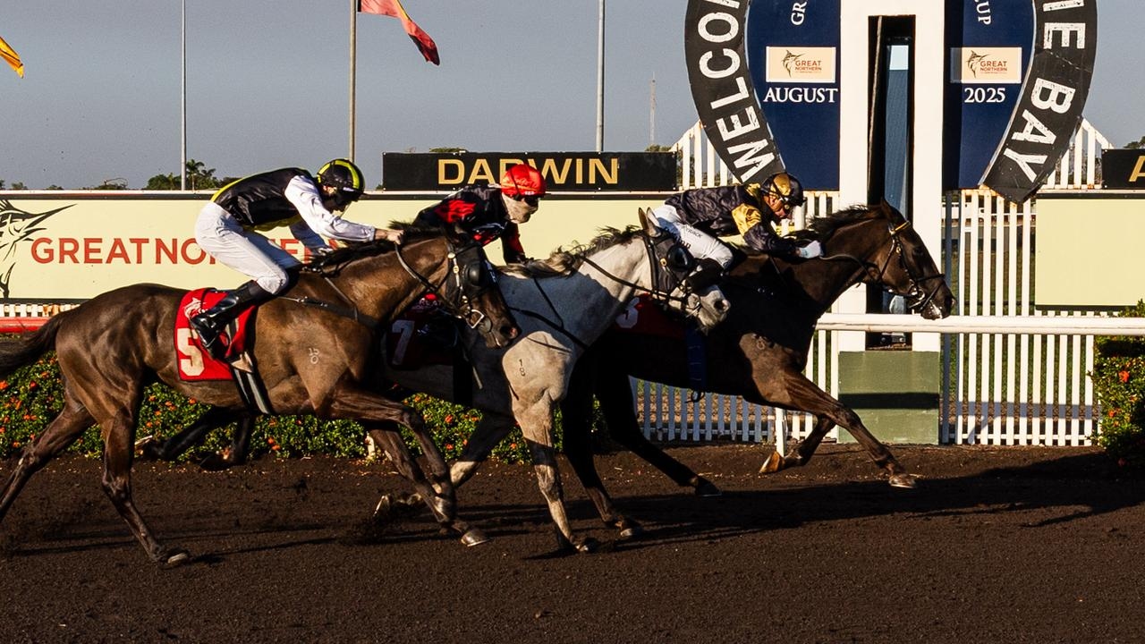 Hadouken proves too good again in thrilling Darwin Cup