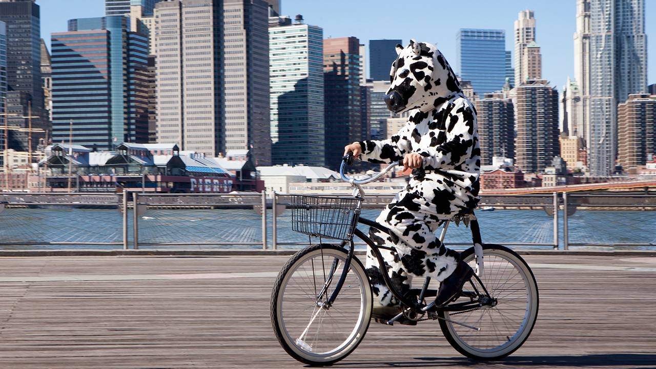 The Big Picture: With workers trickling back to the office, should investors follow?