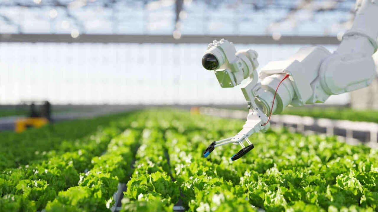 OptiCrop lands first deal for ClearVue's ag-tech