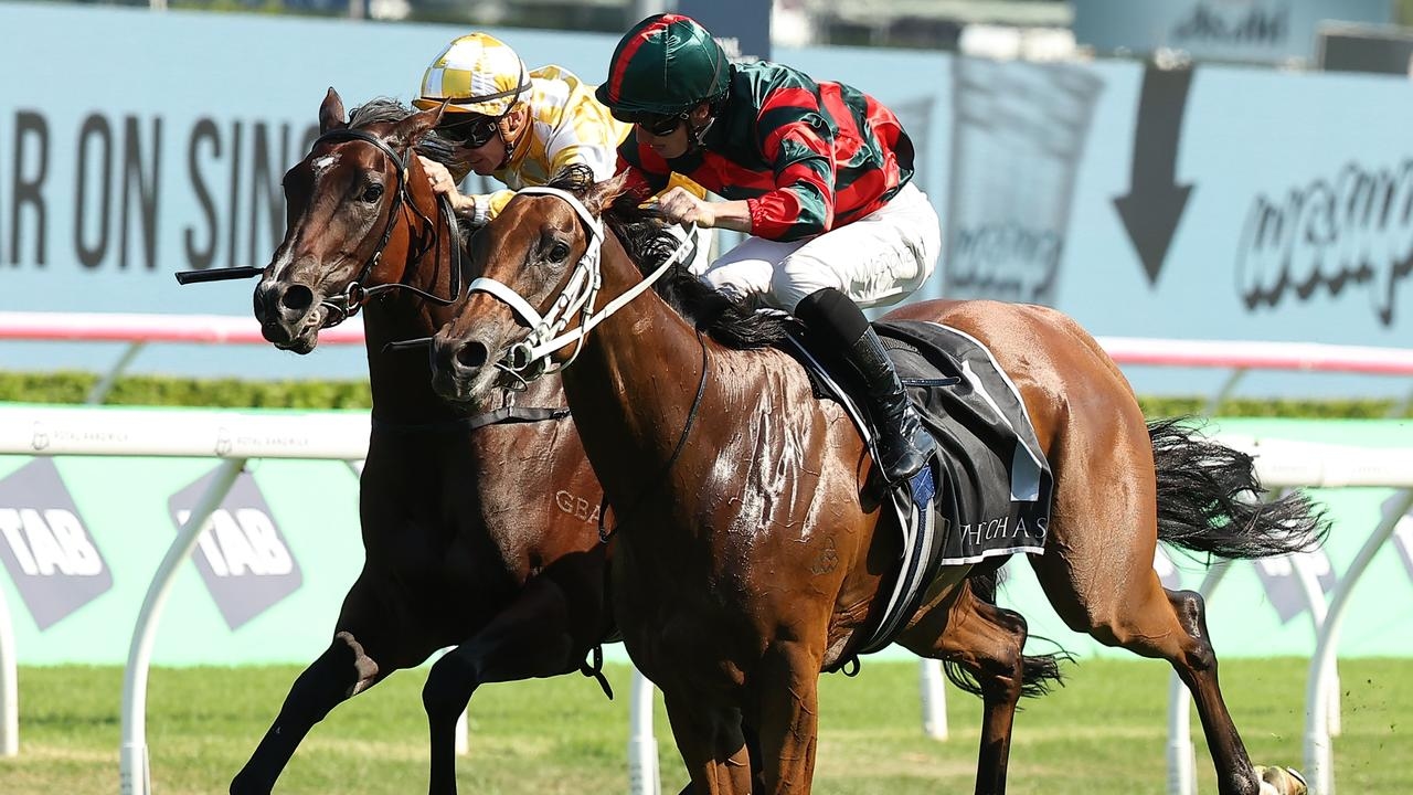 Warwick Farm trials to feature spring's finest, including Lady Shenandoah and Ceolwulf