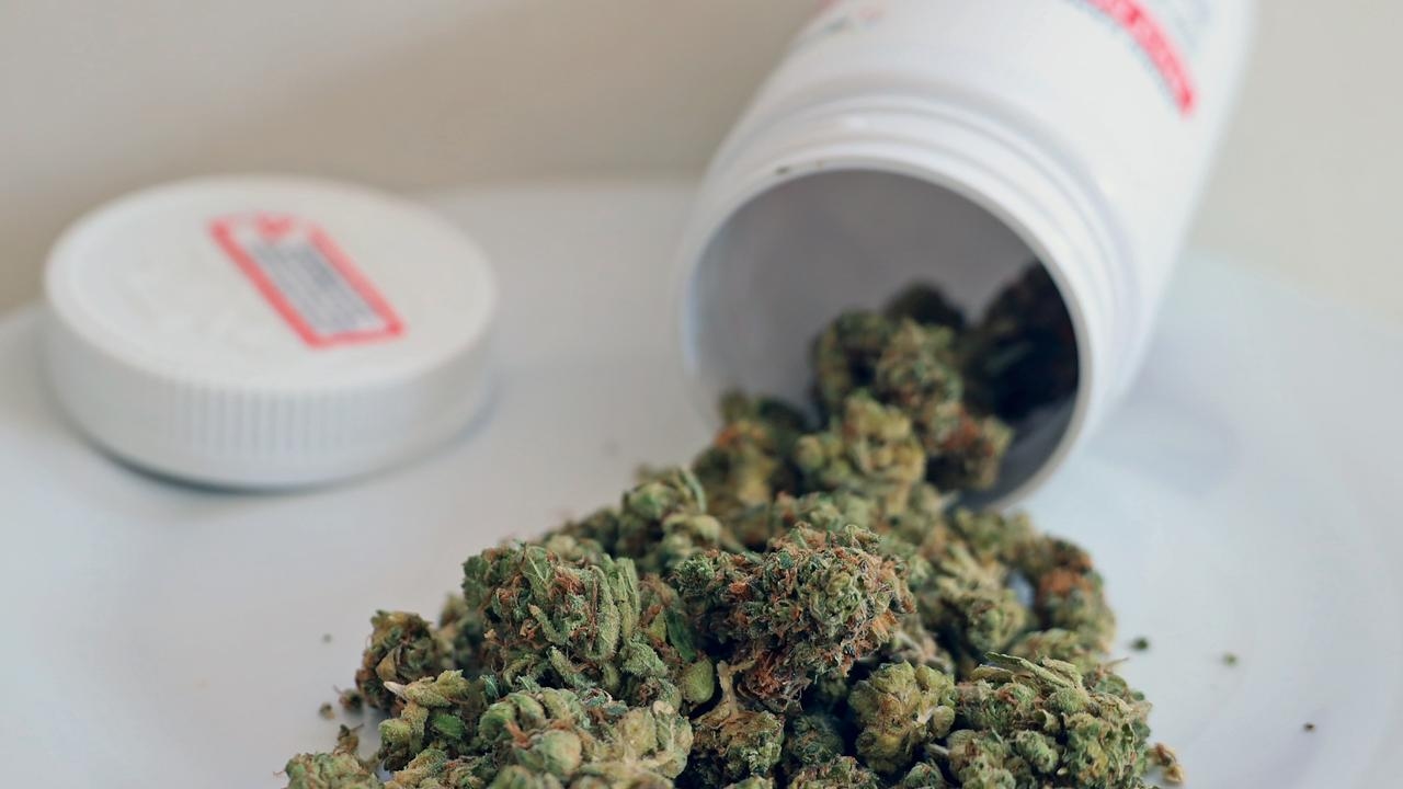Major crackdown on medicinal cannabis, doctor writes 17k scripts