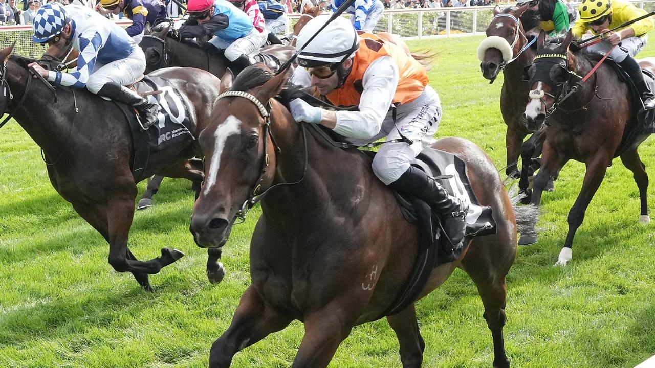 Seven-year-old galloper having just his 15th start at Sandown on Saturday