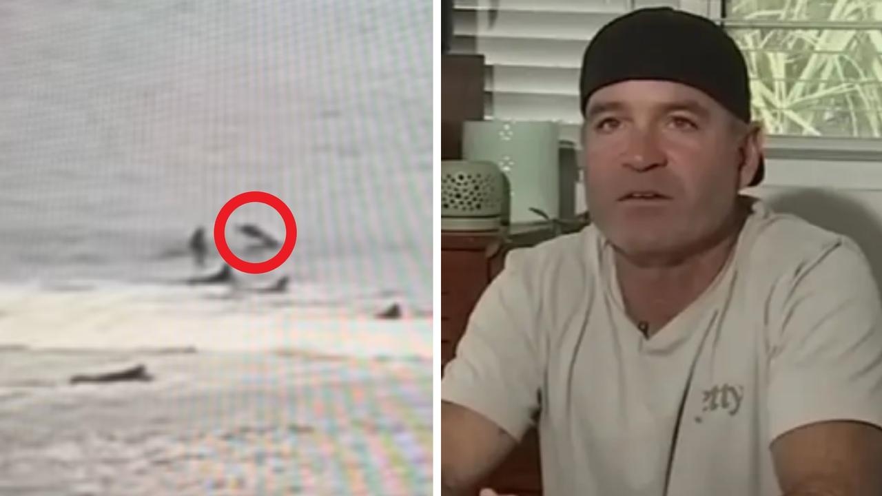 ‘Hit by a car': Flying shark headbutts surfer off his board